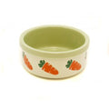 Stoneware Ceramic Bowl Carrot 5