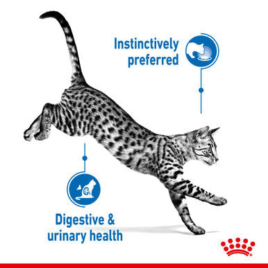 Royal Canin Indoor Adult Sterilised CatWet Food Jelly