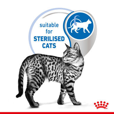 Royal Canin Indoor Adult Sterilised CatWet Food Jelly
