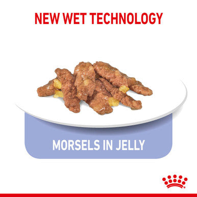 Royal Canin Indoor Adult Sterilised CatWet Food Jelly