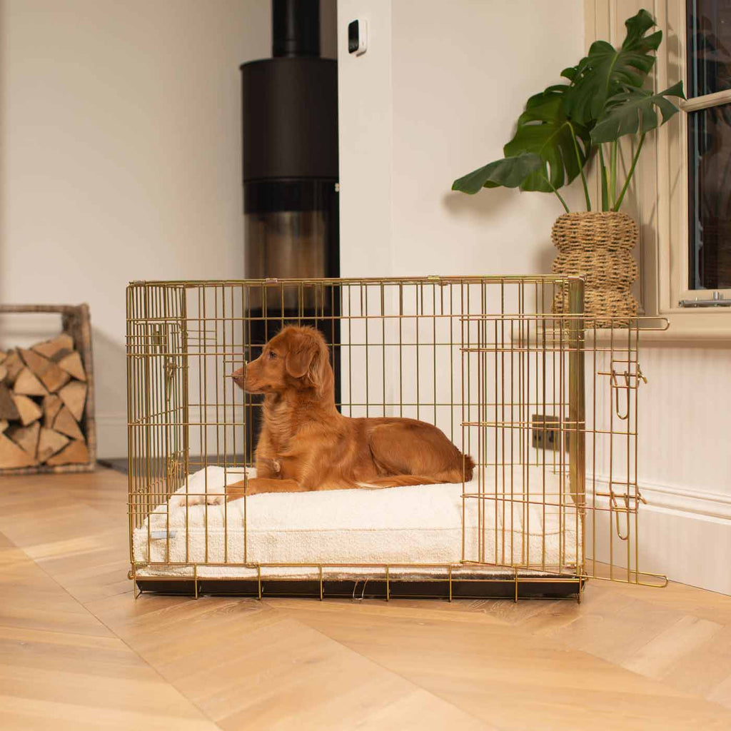 Dog Cushion in Ivory Bouclé by Lords & Labradors