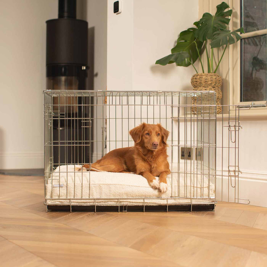 Dog Cushion in Ivory Bouclé by Lords & Labradors