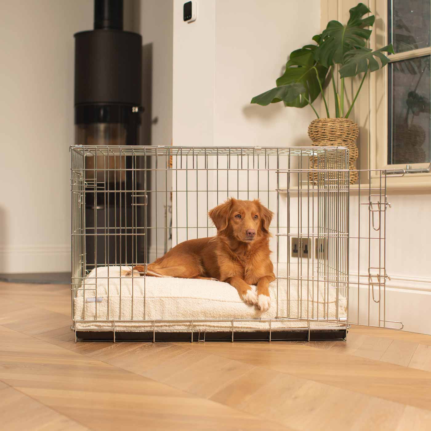 Dog Cushion in Ivory Bouclé by Lords & Labradors