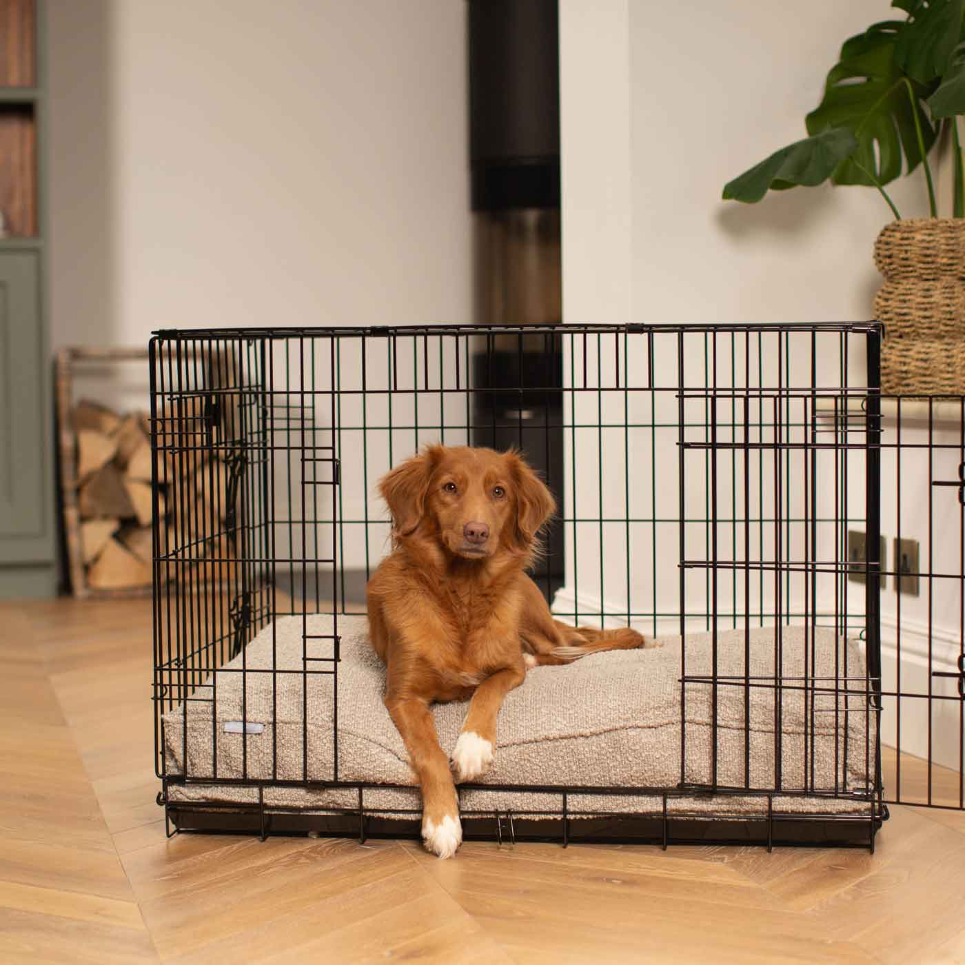 Dog Cushion in Mink Bouclé by Lords & Labradors