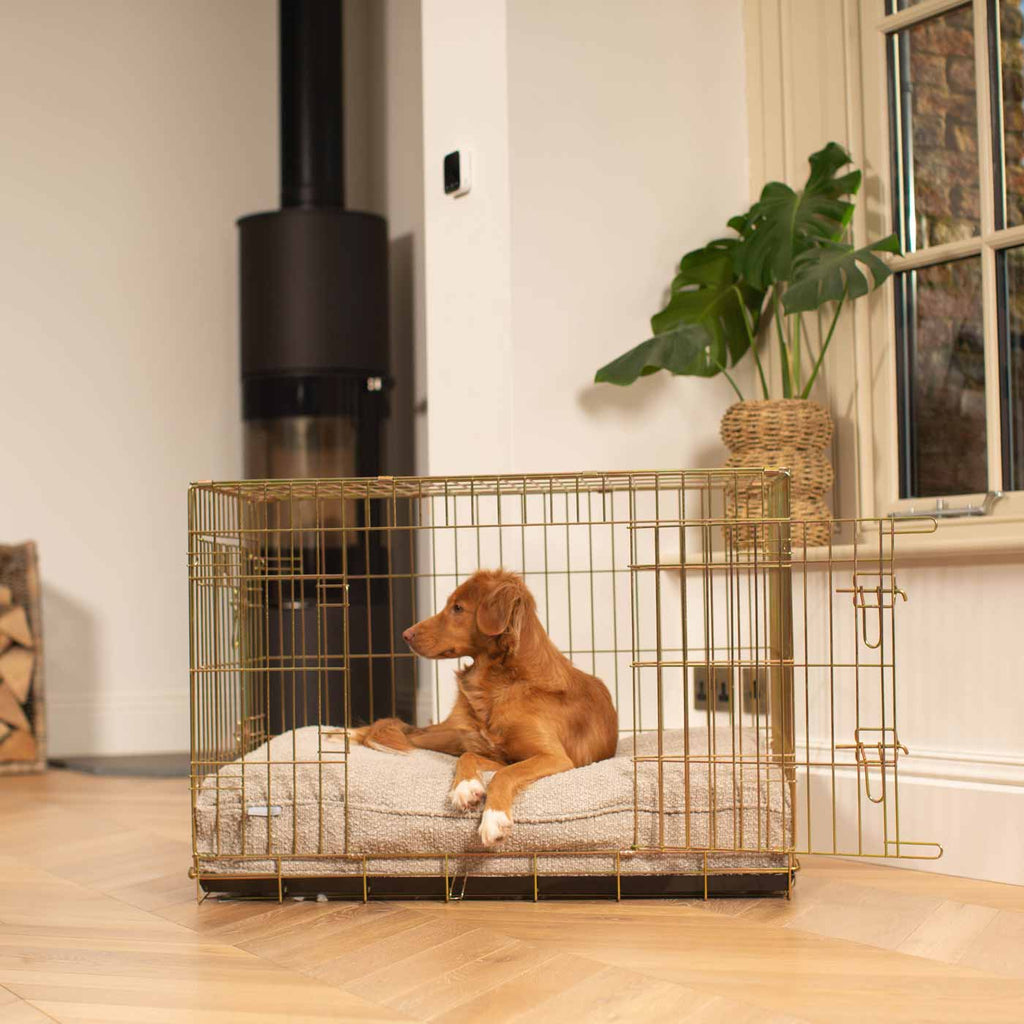 Dog Cushion in Mink Bouclé by Lords & Labradors