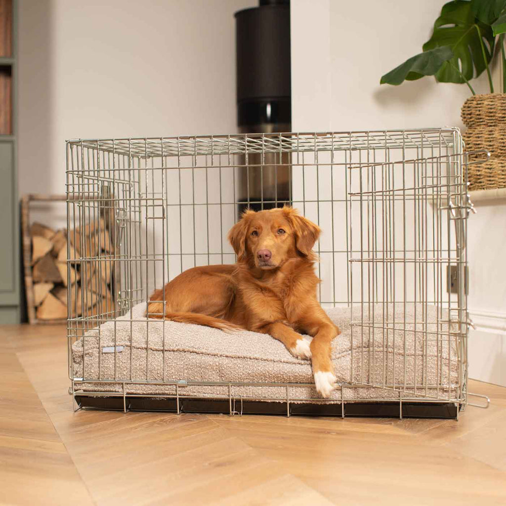 Dog Cushion in Mink Bouclé by Lords & Labradors