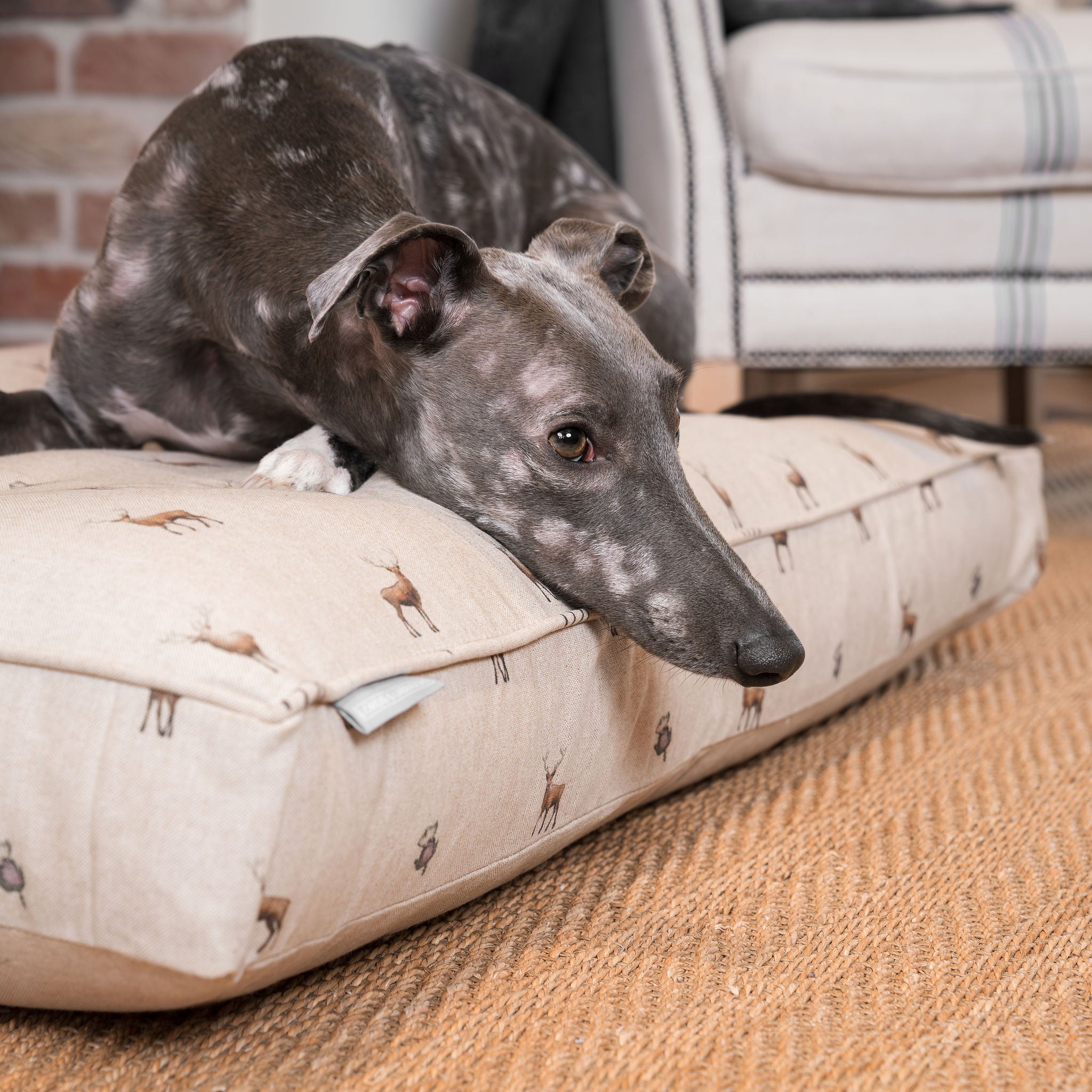 Dog Cushion in Woodland Stag by Lords & Labradors