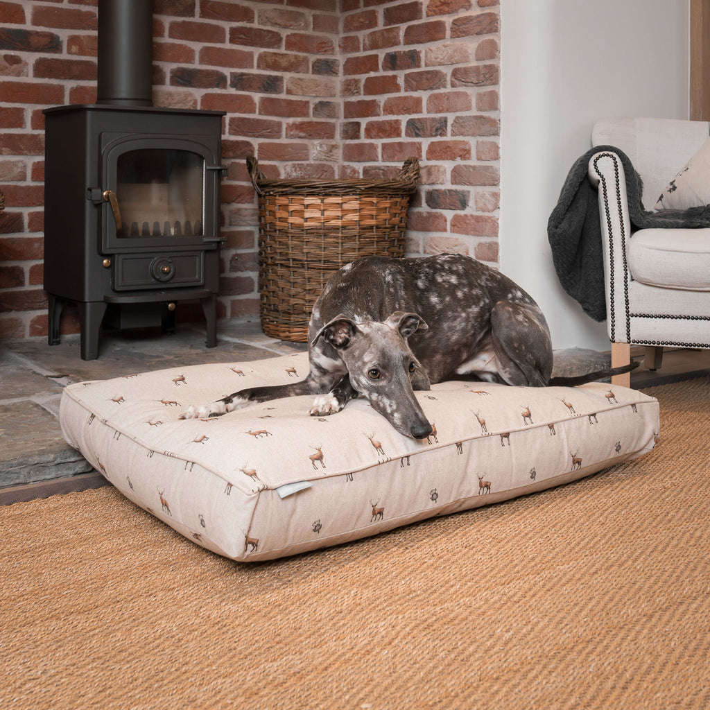 Dog Cushion in Woodland Stag by Lords & Labradors