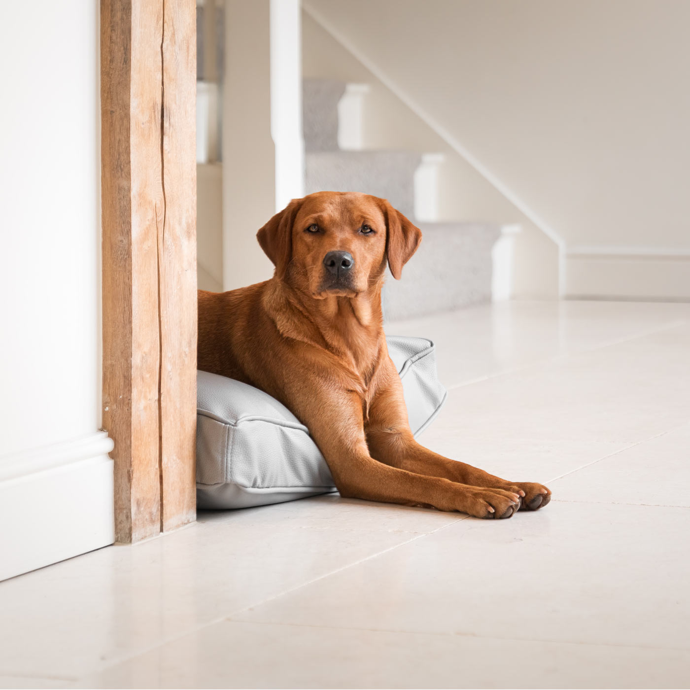Dog Cushion With Removable Cover in Rhino Tough Granite Faux Leather by Lords & Labradors