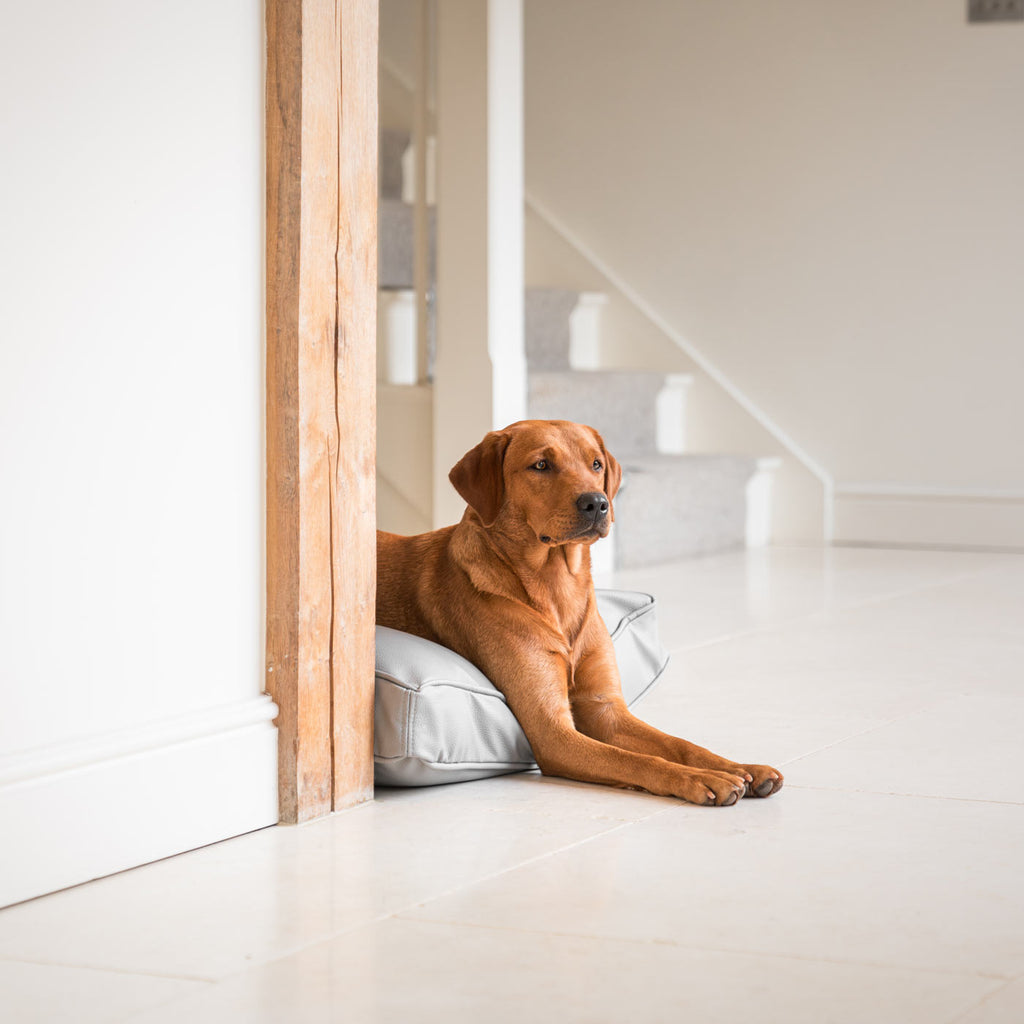 Dog Cushion With Removable Cover in Rhino Tough Granite Faux Leather by Lords & Labradors