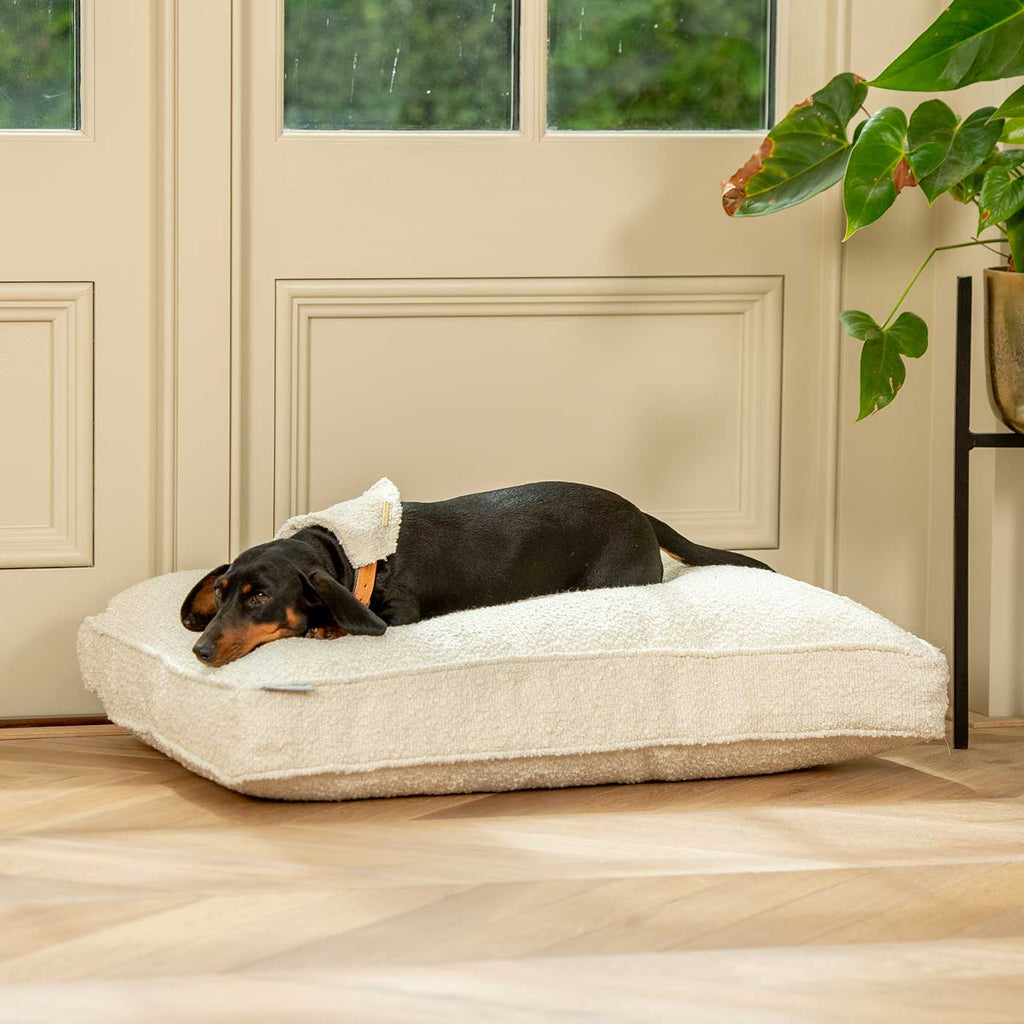 Dog Cushion in Ivory Bouclé by Lords & Labradors