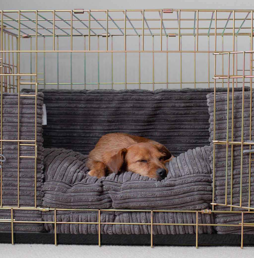 Dog Crate Bumper in Dark Grey Essentials Plush by Lords & Labradors