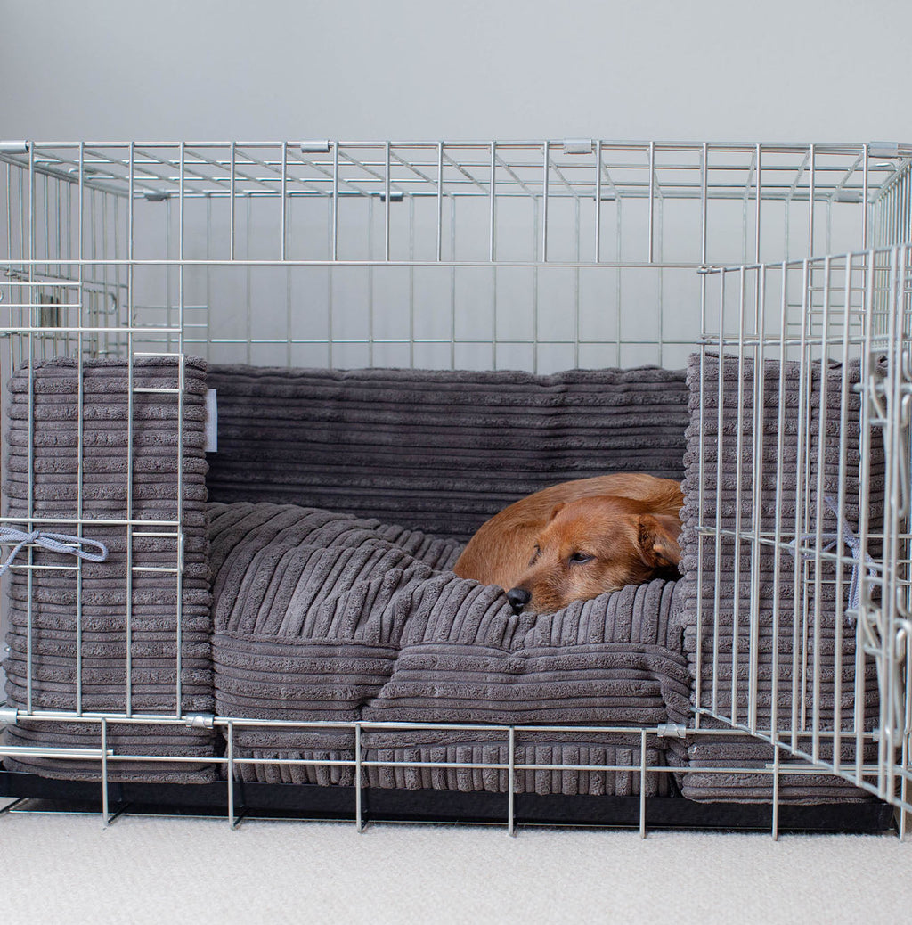 Dog Crate Bumper in Dark Grey Essentials Plush by Lords & Labradors