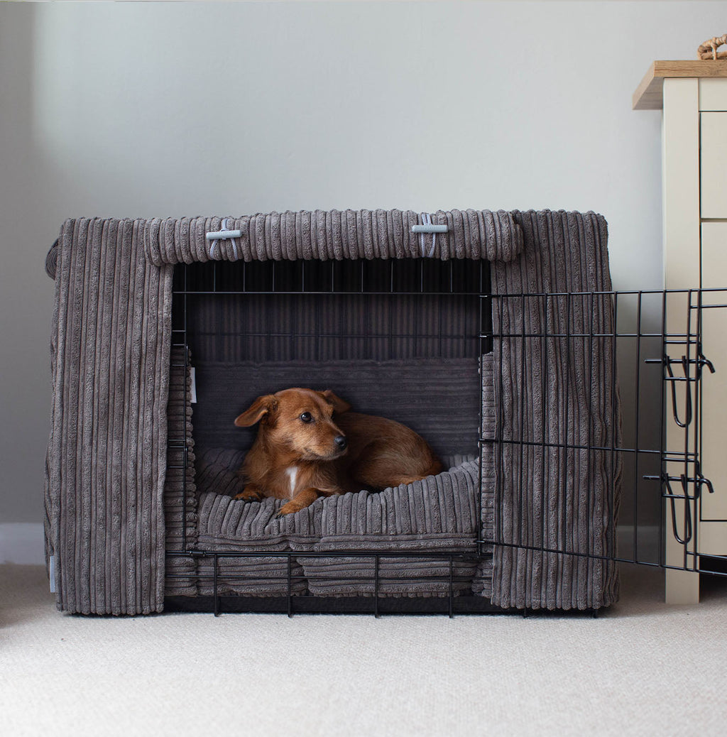 Dog Crate Set in Dark Grey Essentials Plush by Lords & Labradors