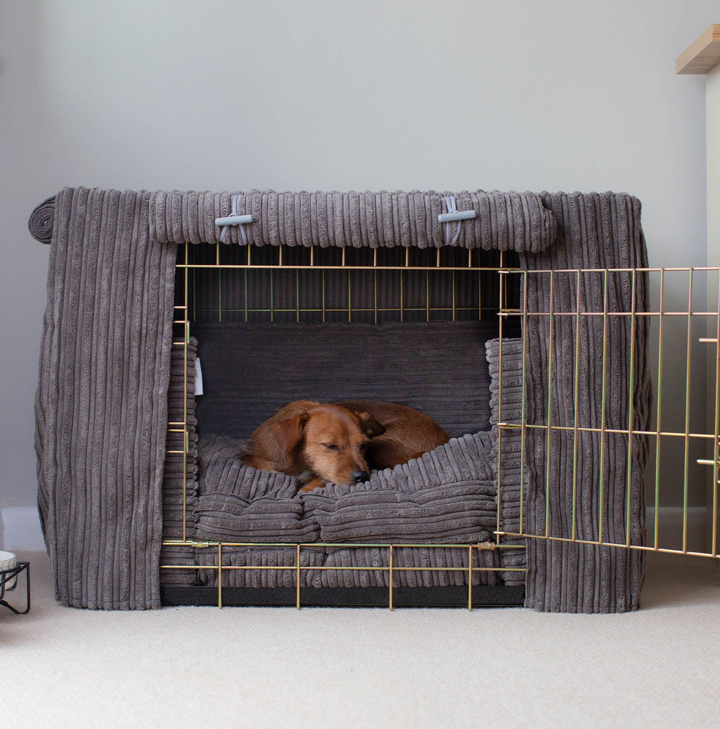 Dog Crate Set in Dark Grey Essentials Plush by Lords & Labradors