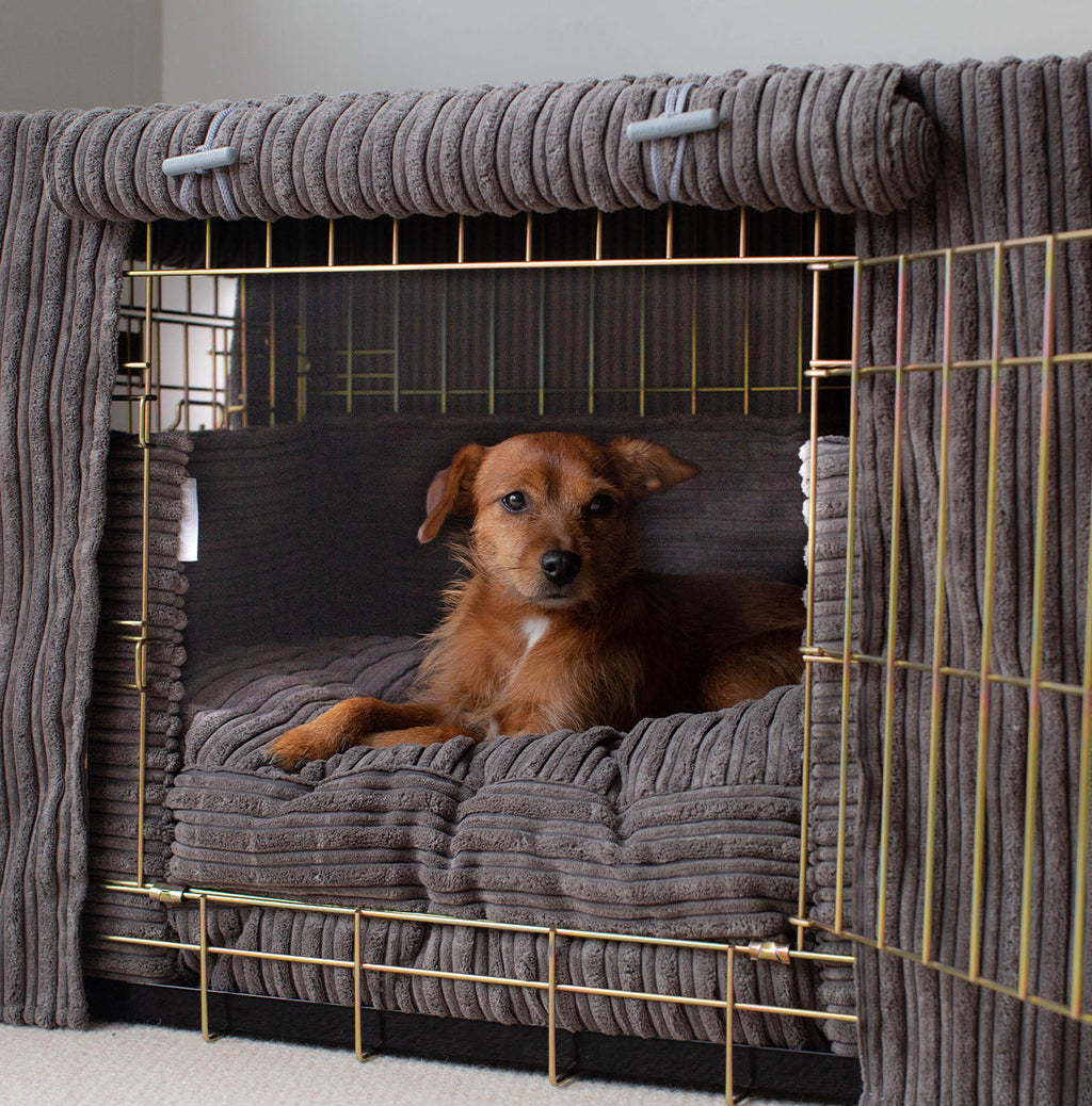 Dog Crate Set in Dark Grey Essentials Plush by Lords & Labradors