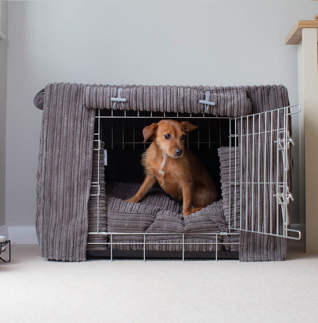Dog Crate Set in Dark Grey Essentials Plush by Lords & Labradors