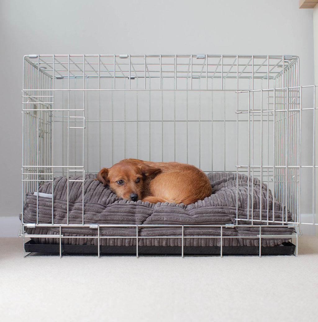 Dog Cushion in Dark Grey Essentials Plush by Lords & Labradors