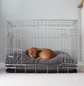 Dog Cushion in Dark Grey Essentials Plush by Lords & Labradors