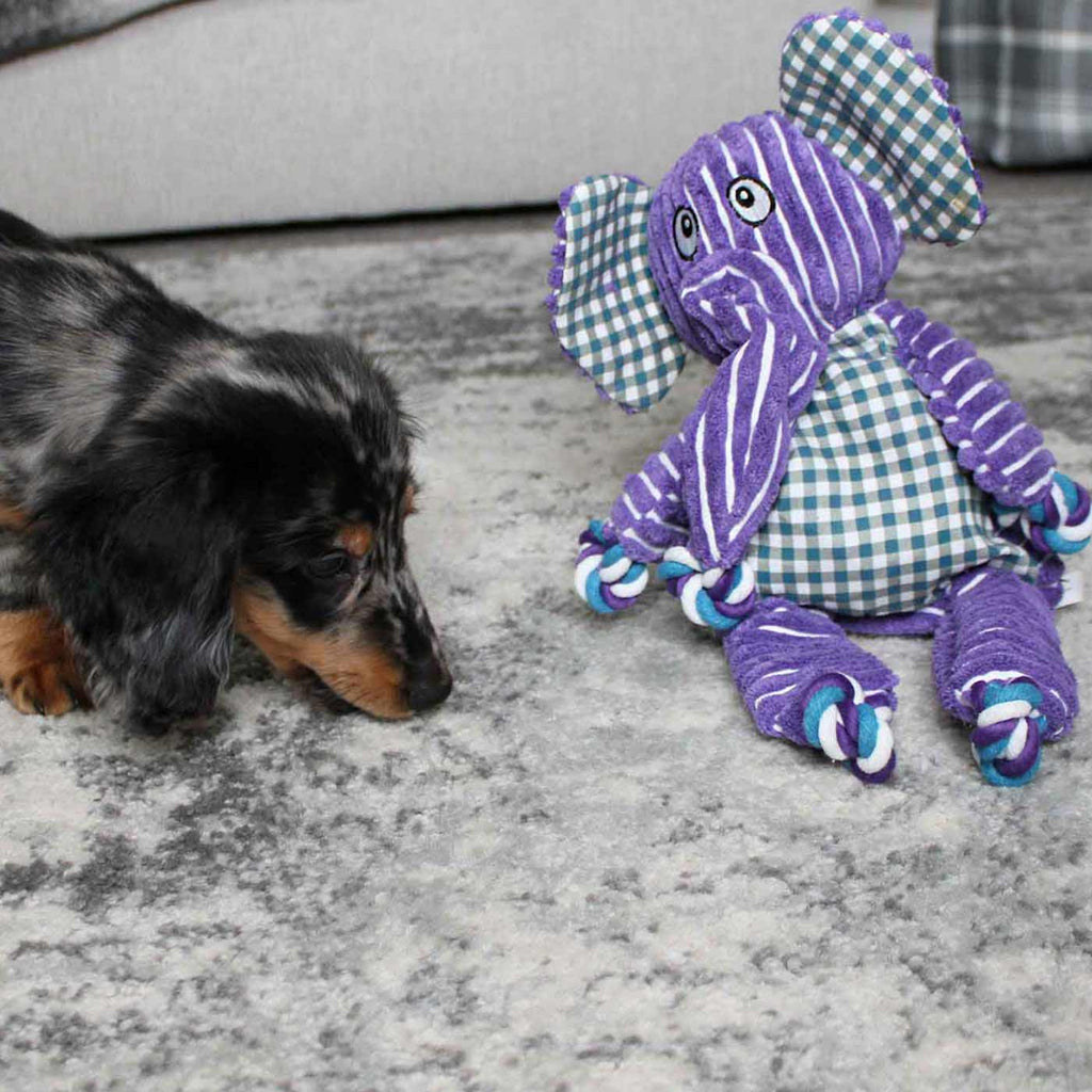 KONG Floppy Knots Elephant