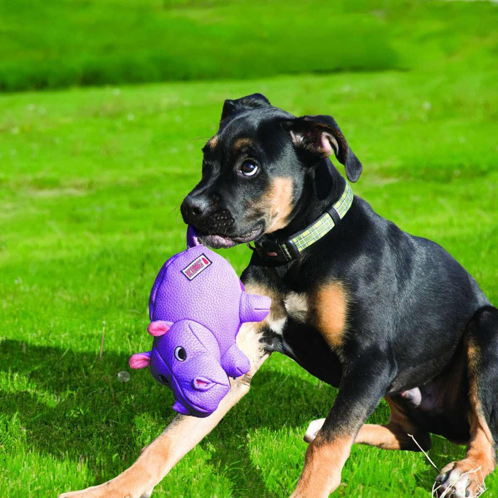 KONG Phatz Hippo