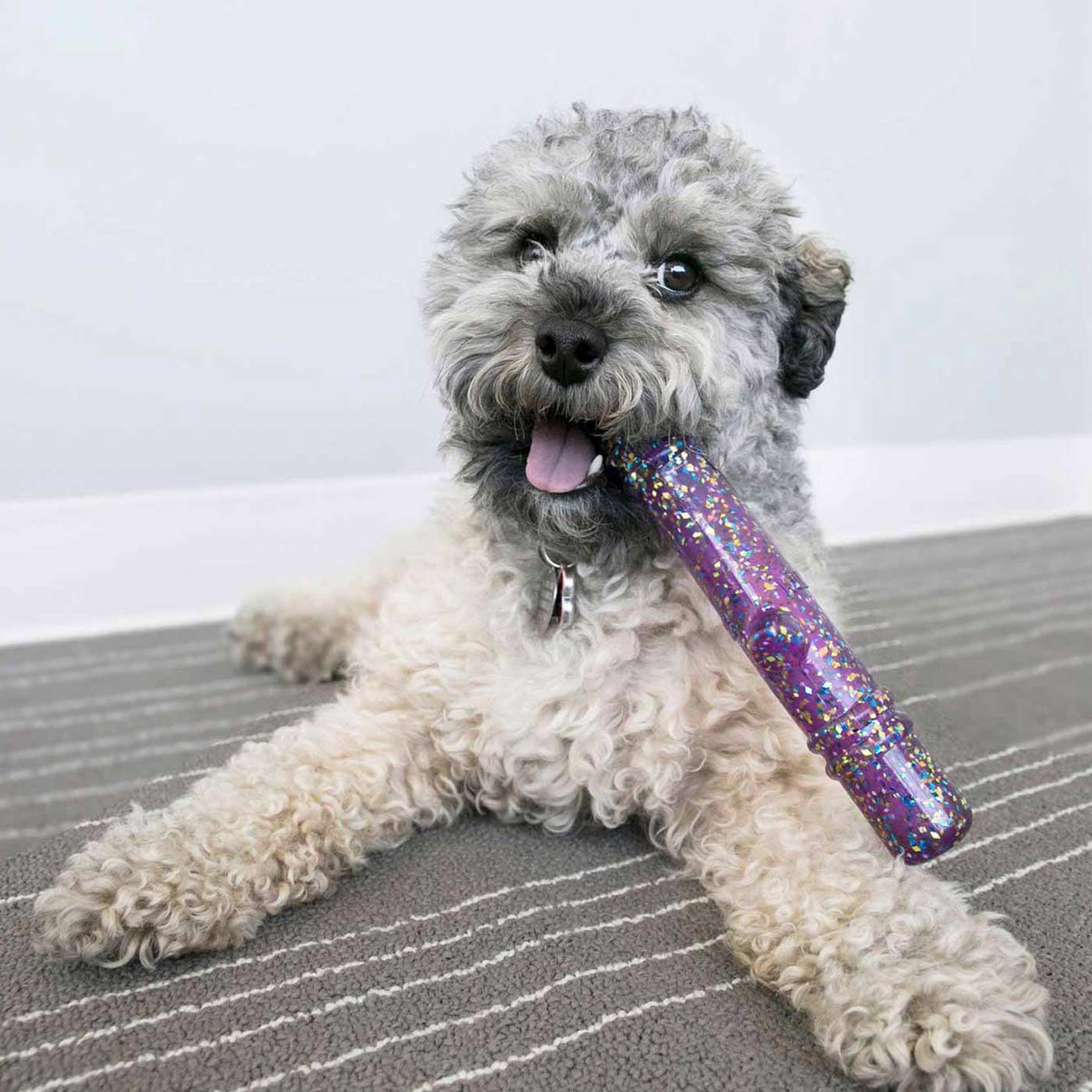 KONG Squeezz Confetti Stick
