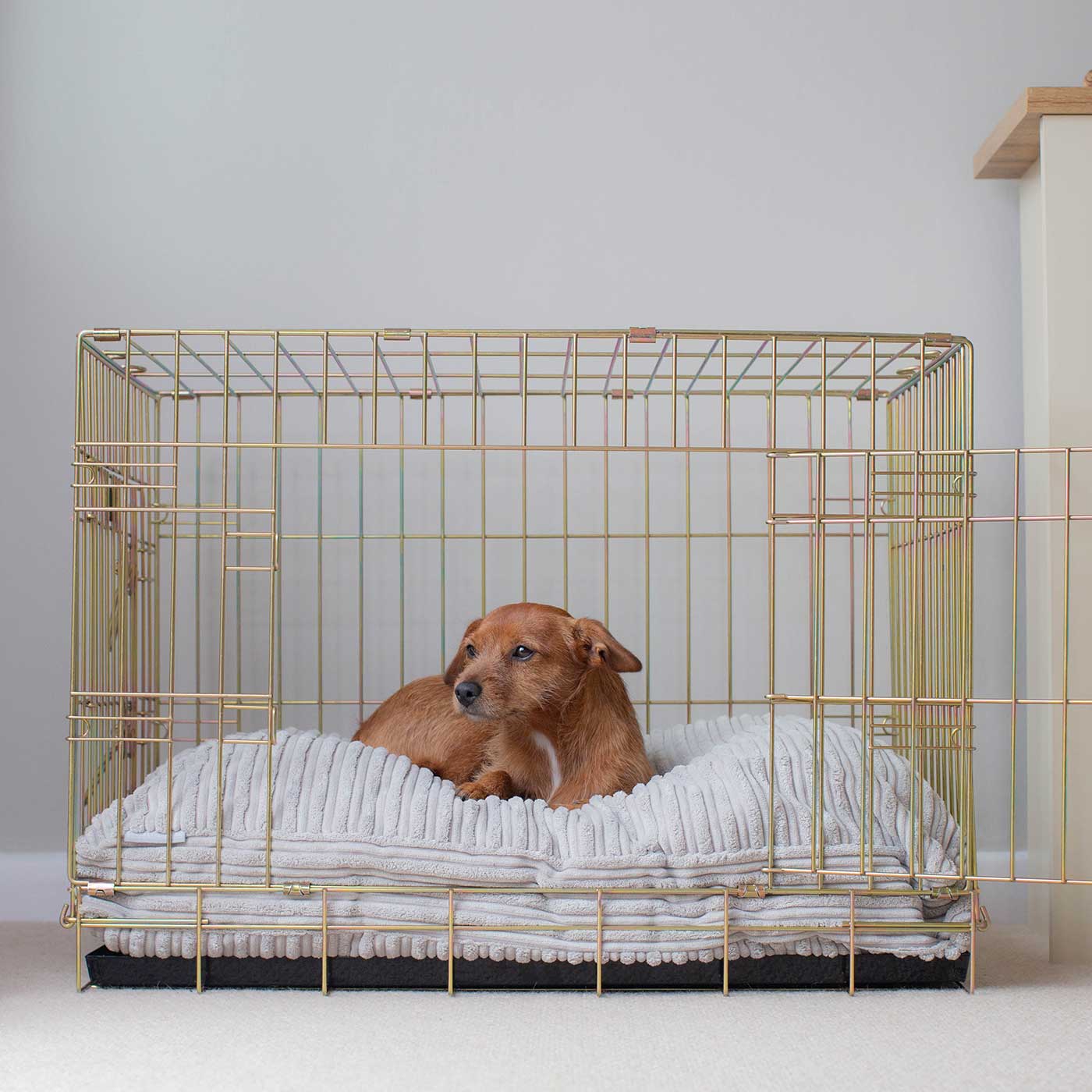 Dog Cushion in Light Grey Essentials Plush by Lords & Labradors