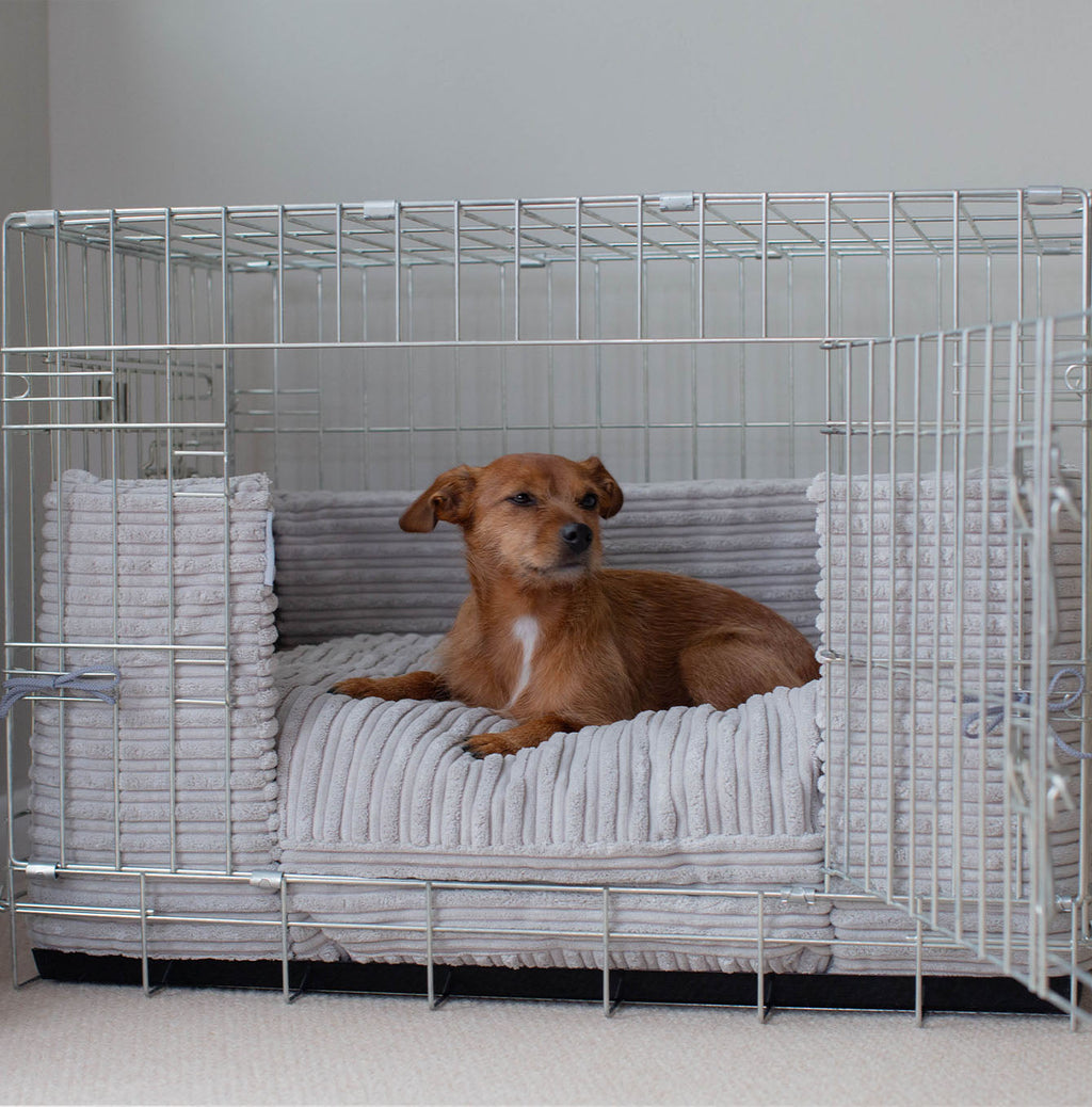 Dog Crate Bumper in Light Grey Essentials Plush by Lords & Labradors