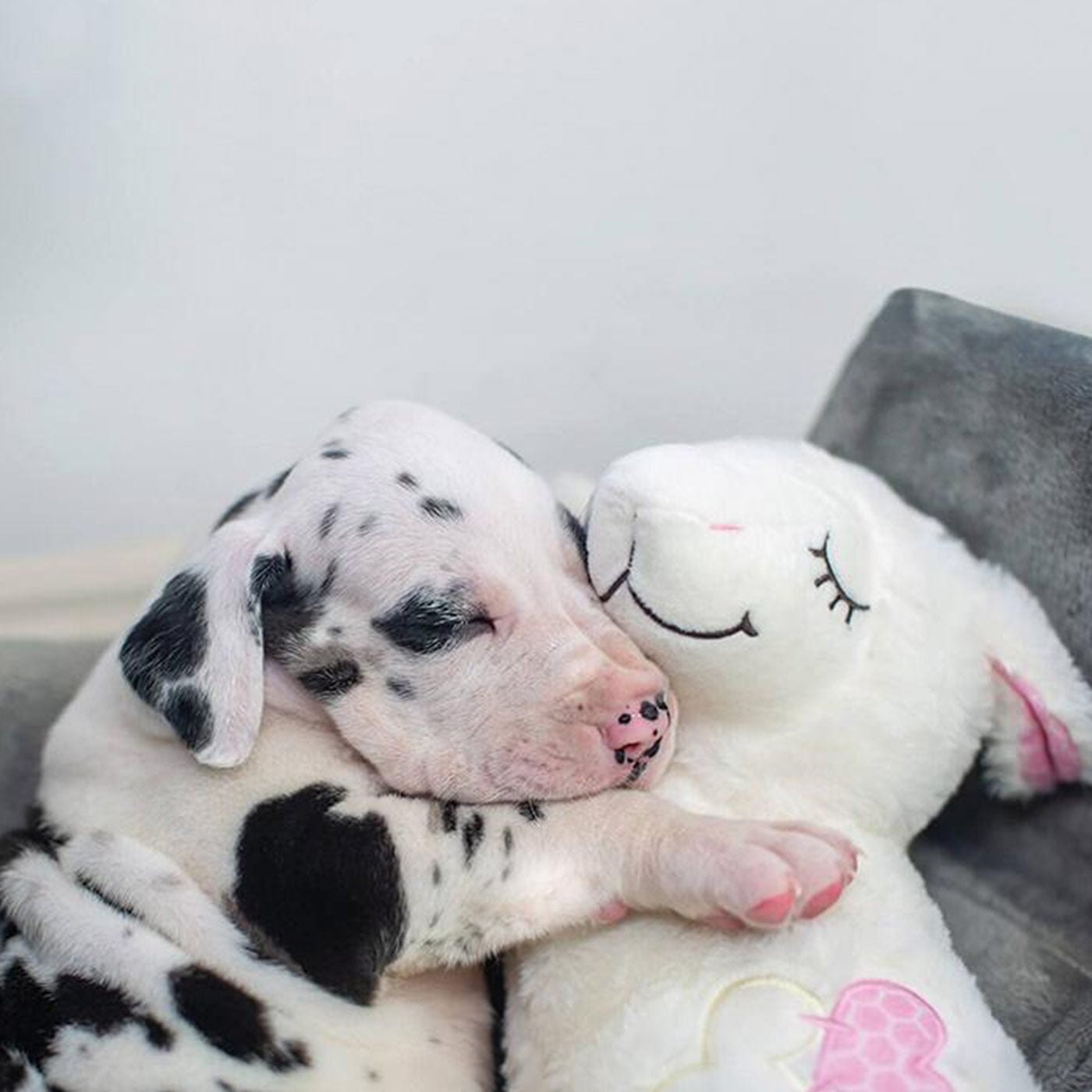 Little Buddy Heart Beat Sheep