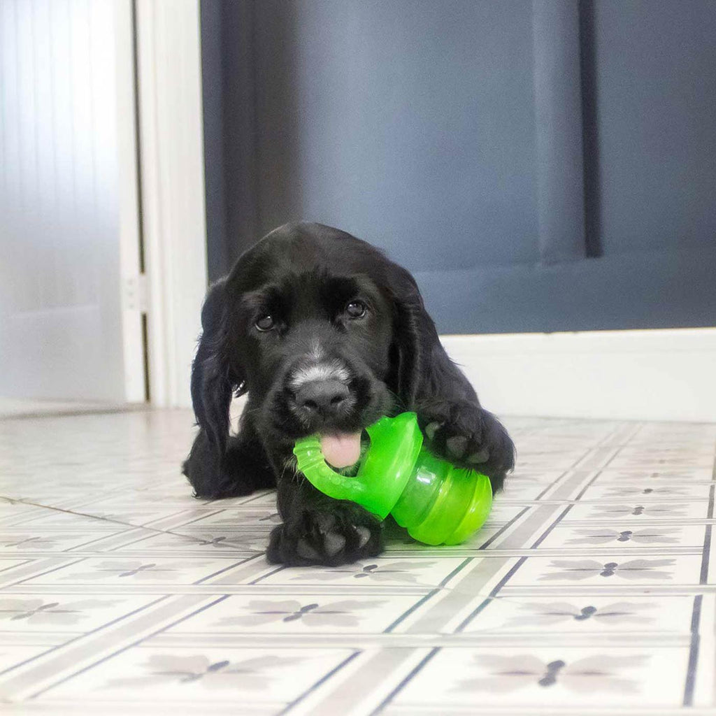 Little Buddy Puppyfier
