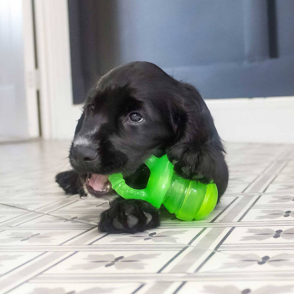 Little Buddy Puppyfier