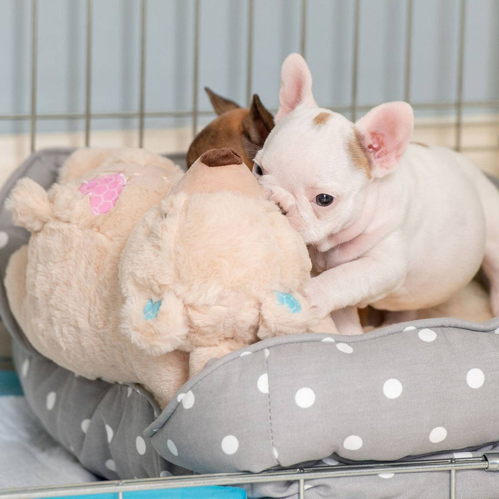 Little Buddy Warm Bear