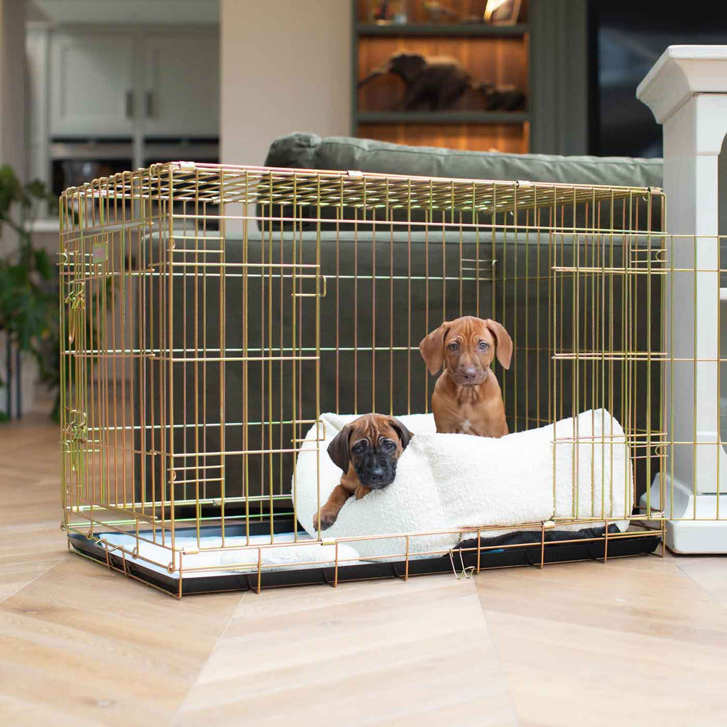 Dog Crate with Cosy & Calming Puppy Crate Bed in Ivory Bouclé by Lords & Labradors