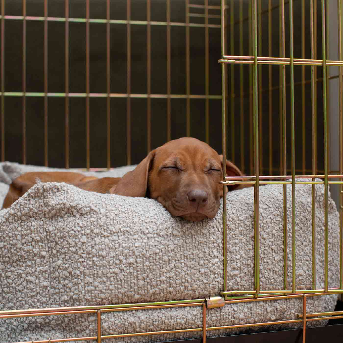 Dog Crate with Cosy & Calming Puppy Crate Bed in Mink Bouclé by Lords & Labradors