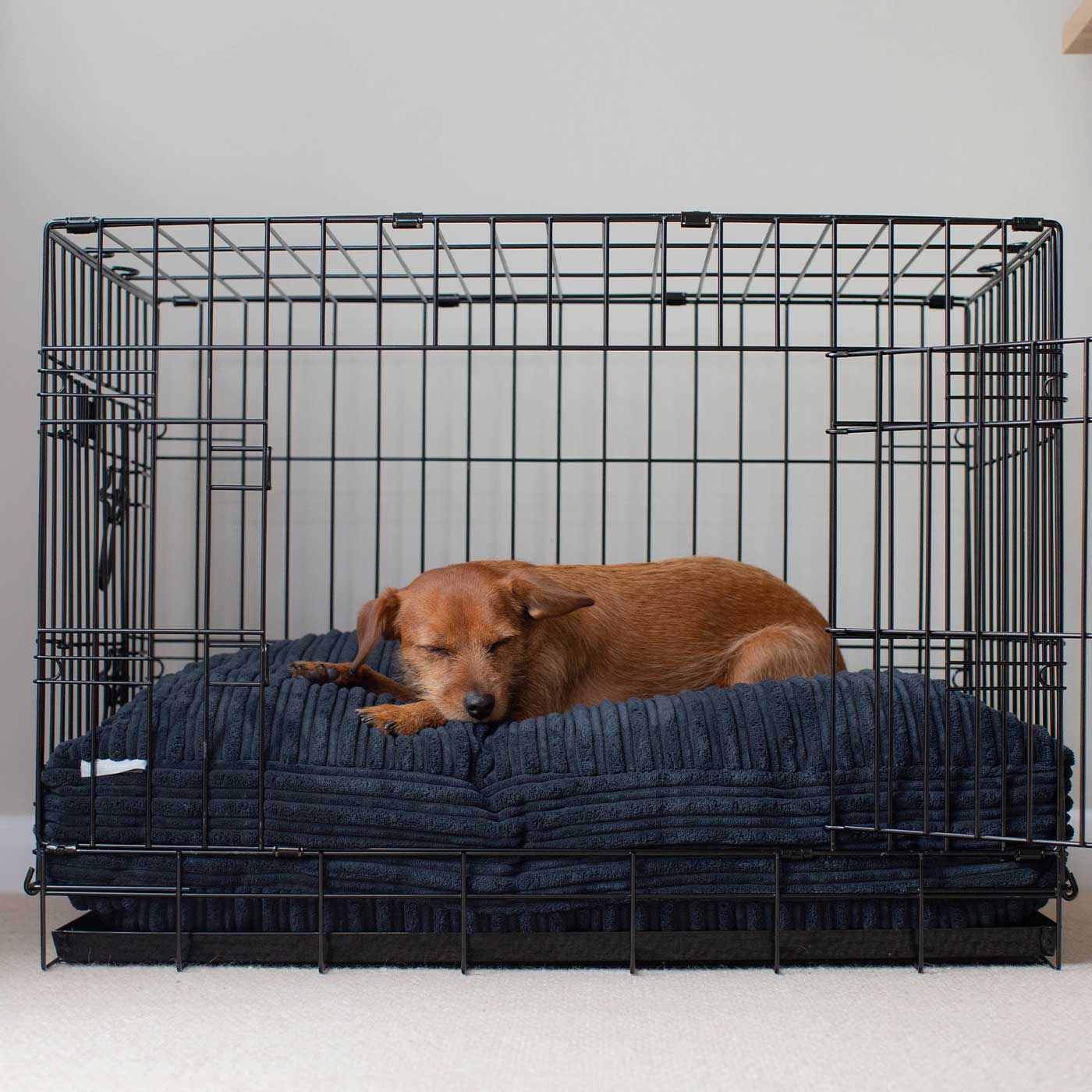 Dog Cushion in Navy Essentials Plush by Lords & Labradors