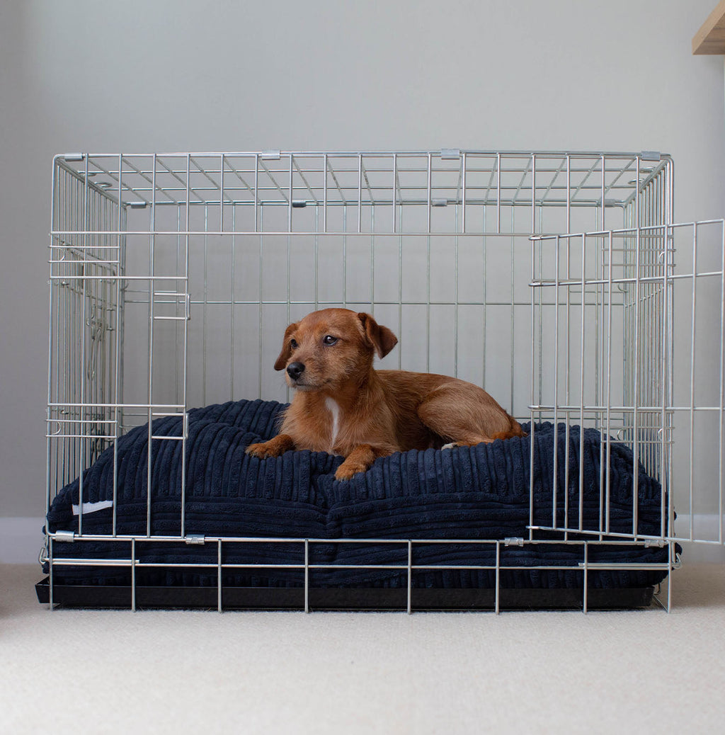 Dog Cushion in Navy Essentials Plush by Lords & Labradors