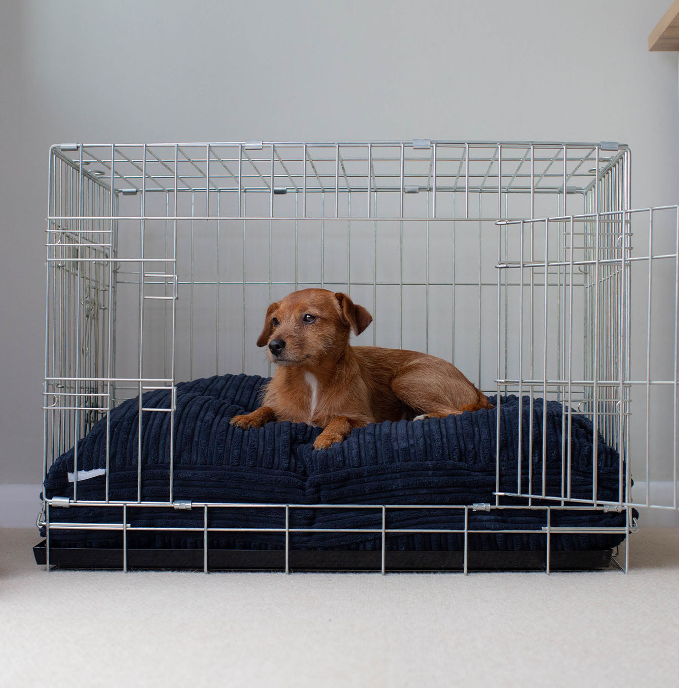 Dog Cushion in Navy Essentials Plush by Lords & Labradors